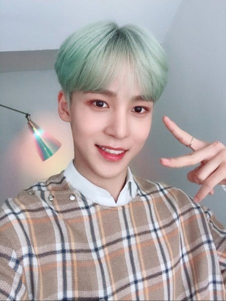 mint bowl cut