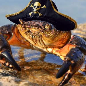 kroki