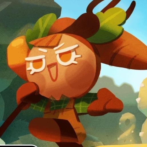 Carrot Cookie