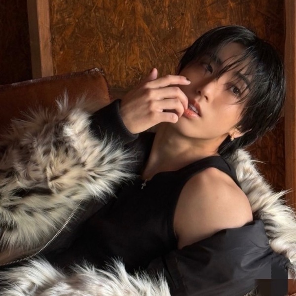 han (stray kids)