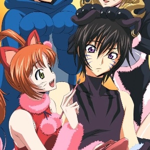 shirley/lelouch