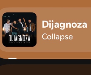 DIJAGNOZA