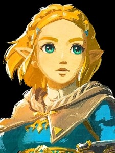 Wild Zelda