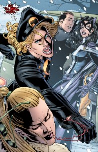 Zinda Blake (Lady Blackhawk)