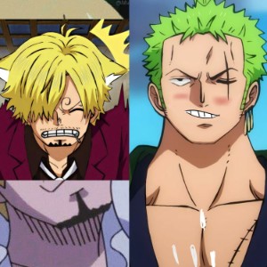 zoro x furry sanji