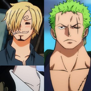 zoro x sanjin