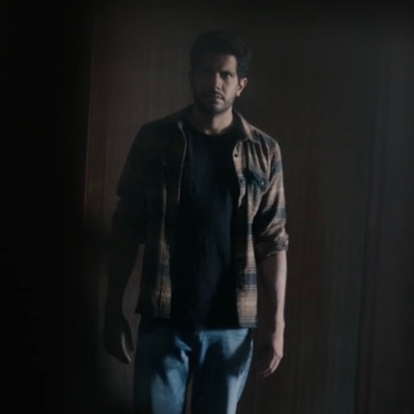 Brown flannel