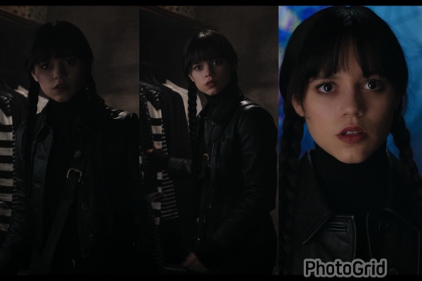wednesday s1 leather jacket
