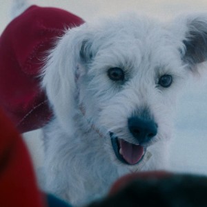 Krypto