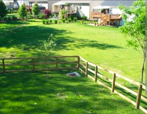 The concept of a proper backyard