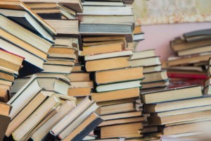 Whatever book youre in the middle of