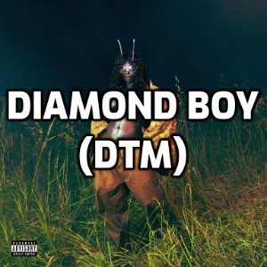 Diamond Boy (DTM)