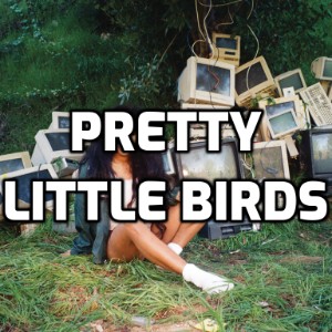 Pretty Little Birds