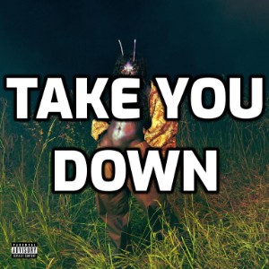 Take You Down