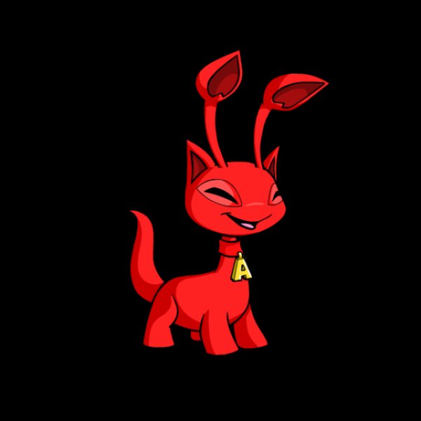 Aisha