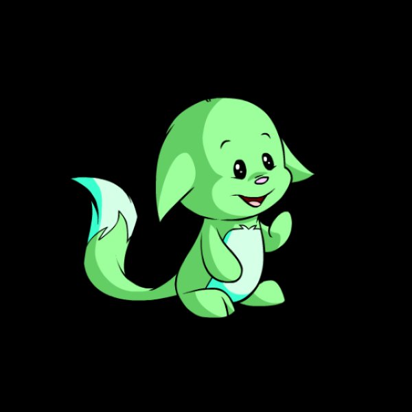 Kacheek