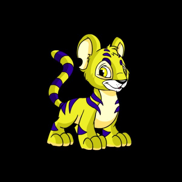 Kougra