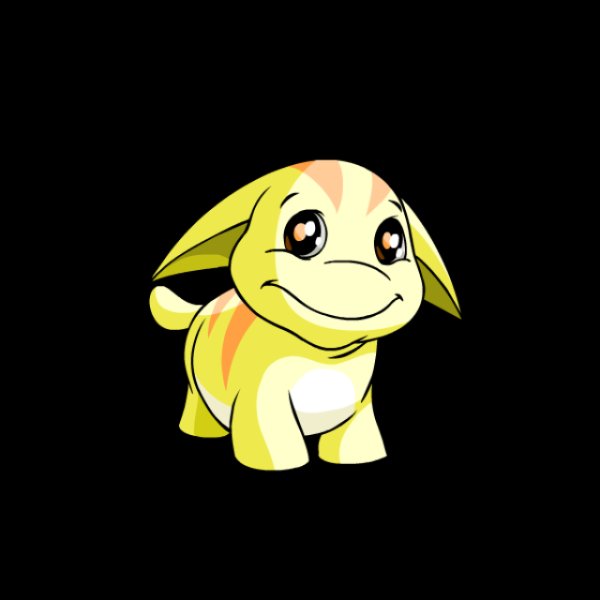 Poogle