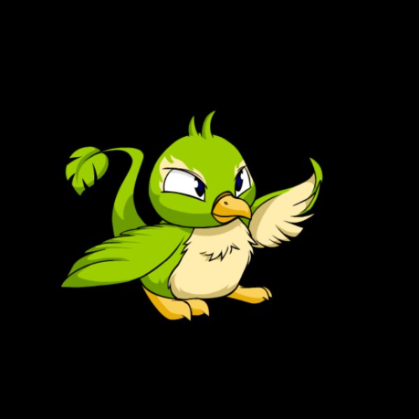 Pteri