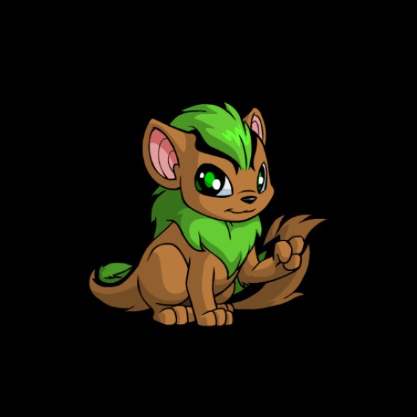 Xweetok