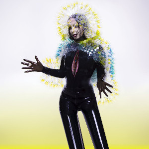 26282-vulnicura_091126