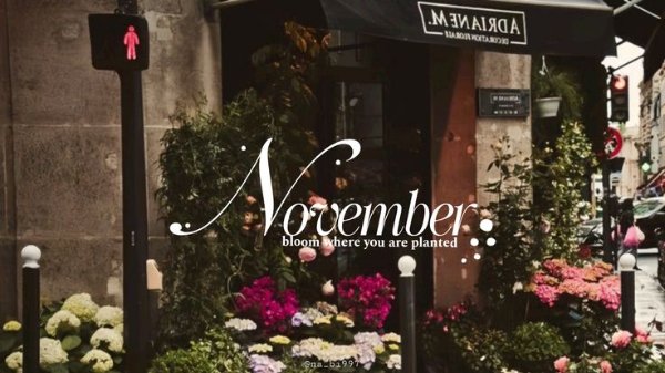 november