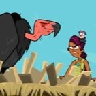 Condor