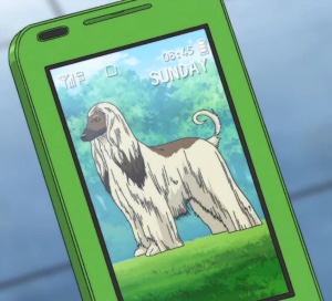 Beat (Atobe’s dog)