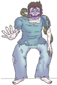 Z.R