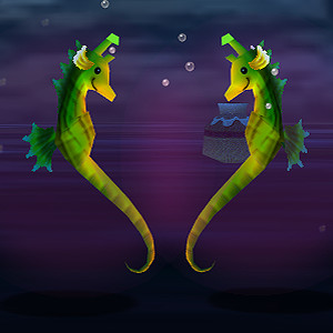 Seahorses
