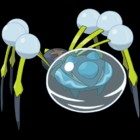 Araquanid
