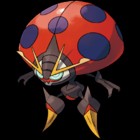 Orbeetle