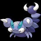 Skorupi