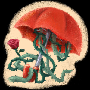 Raindrops on Roses