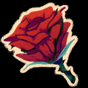 Rose Garden