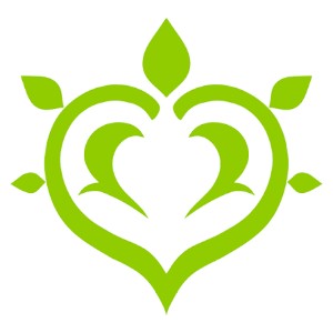 Dendro