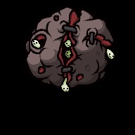 Fistula
