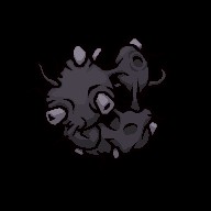 Teratoma