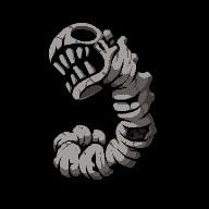 The Shell