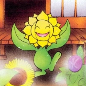 Sunflora