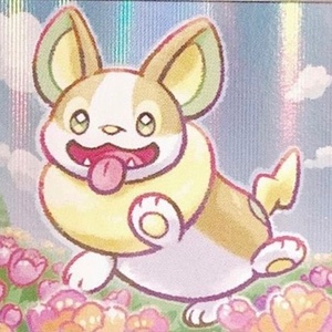 Yamper