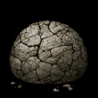 A LITERAL ROCK