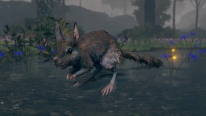 SPRINGHARE