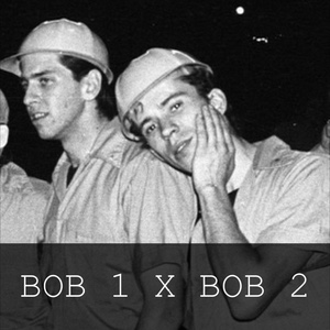 bob 1 x bob 2
