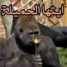 ااااه.... مدري
