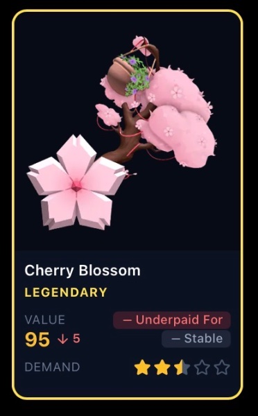 Cherry blossom