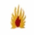 Luis's icon