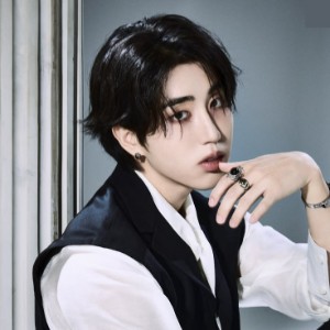 HAN (STRAY KIDS)