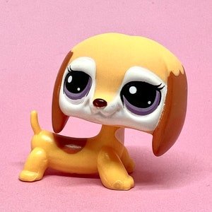 #2529