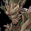 Groot